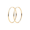 Burren - Small Hoop Earrings -  Gold