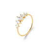 Burren "Illusion Ring" – Gold
