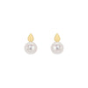 9CT Yellow Gold Polished Pear Shape & Freshwater Pearl Stud Earrings
