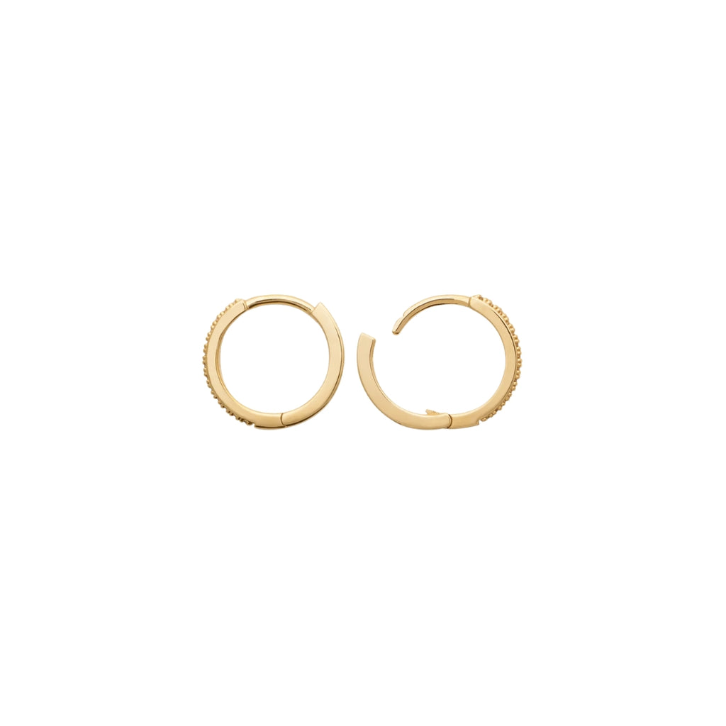 Burren Don't Believe The Hype Earrings