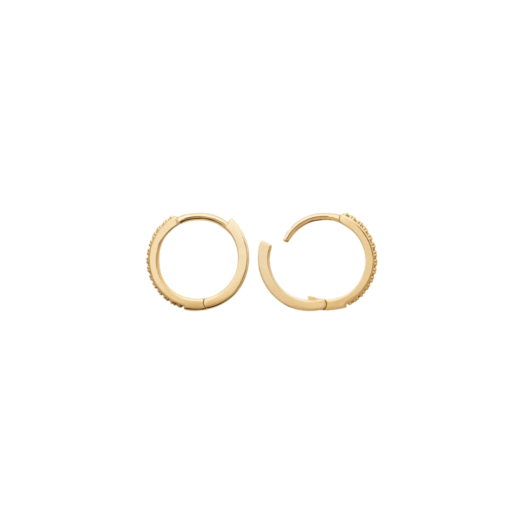 Burren Don't Believe The Hype Earrings