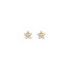 Burren “Wildflower Stud Earrings” – Gold