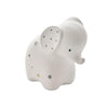 Elephant Money Box
