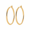  Gold Burren "Jaylin" Hoop Earrings L on white background