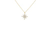 9ct Yellow Gold CZ North Star Adjustable Necklace