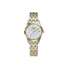 Telstar Krakow 2-Tone Watch