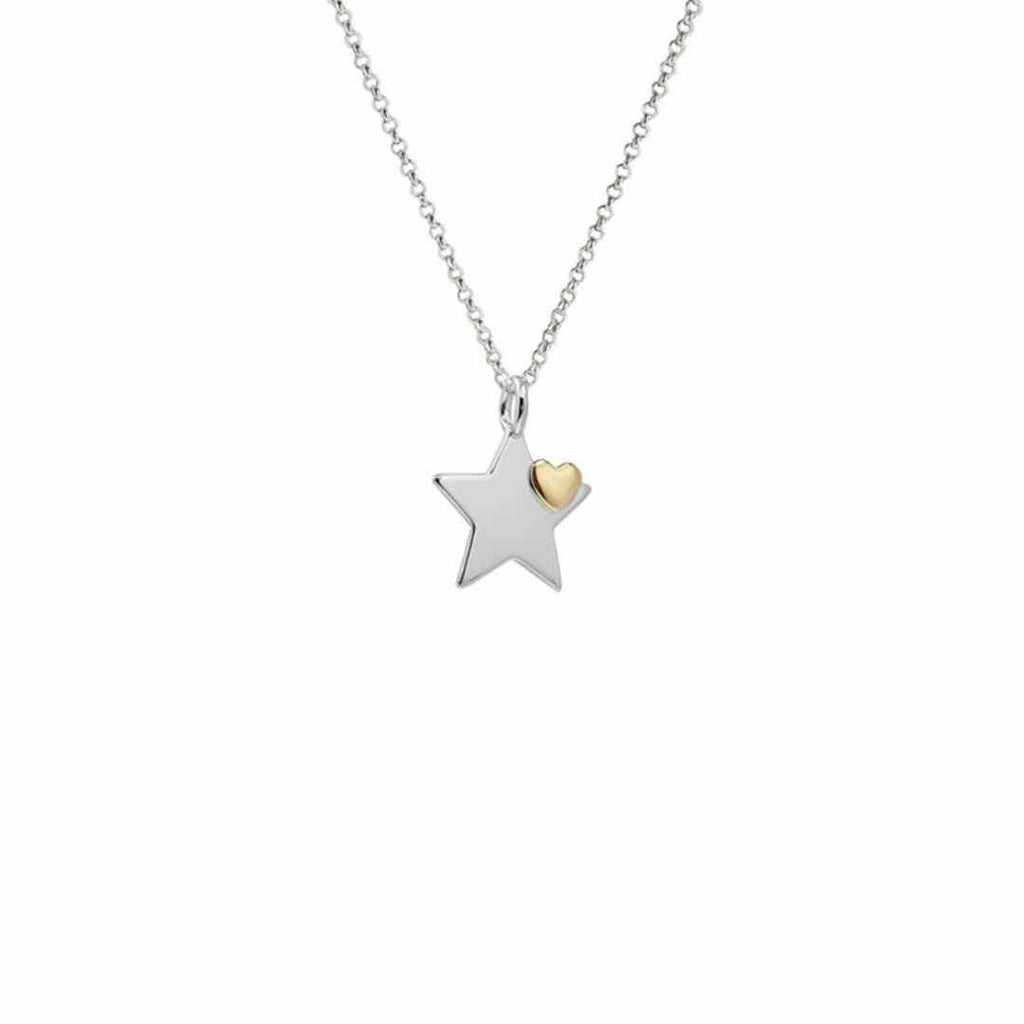 Yvonne Kelly - You’re a Star with a Heart of Gold Pendant – 9ct Gold & Sterling Silver